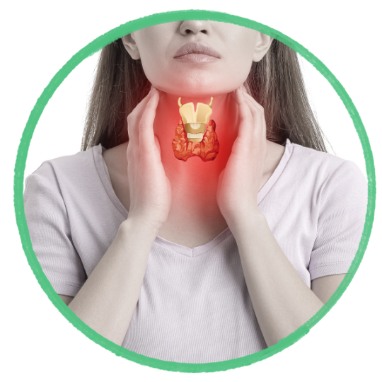 Thyroid Hormone Testing